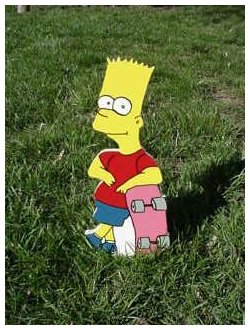 Bart and skateboard